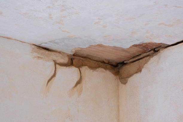 Best 24/7 water damage repair  in Mccoll, SC