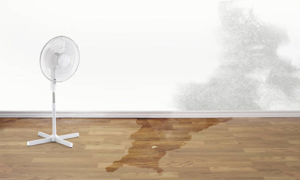 Reliable Mccoll, SC Water damage restoration Solutions