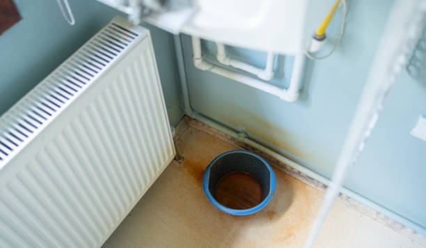 Best Water damage mitigation services  in Mccoll, SC