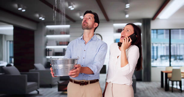 Best Commercial water damage restoration  in Mccoll, SC